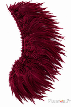 Franje haan - lengte veren 10-15 cm - bordeaux